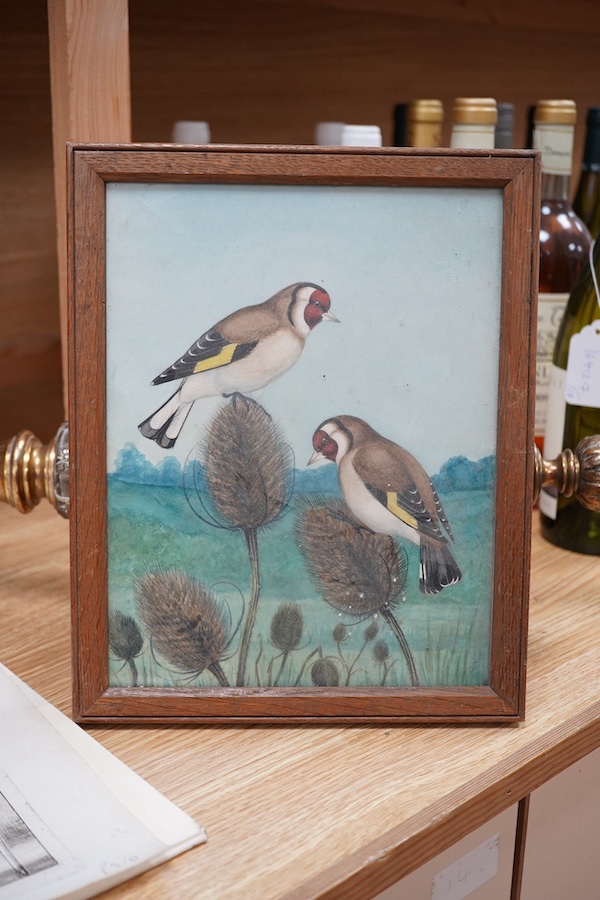 Tom Banks, early 20th century watercolour, Birds amongst thistles, unsigned and inscribed in pencil verso, 24 x 19cm. Condition - fair